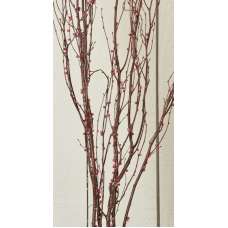 Berry Birch Branches - Red