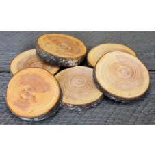 Red Alder Wood Slices (Birch Slices) - Small