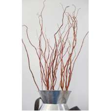 Dark Curly Willow (Weddings, Events, Centerpieces)