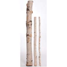 Long Decorative White Birch Poles - 8 ft long