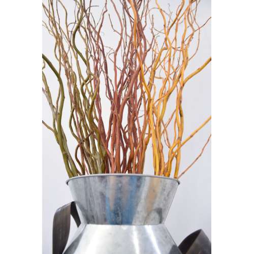 Fresh Curly Willow Branches, 100, Red