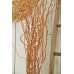Curly Willow Branches for Arrangements (Long Stem)