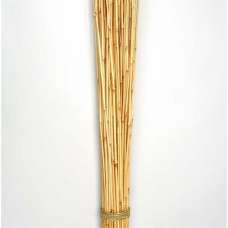 Dried Honey Bamboo Stack - 4ft Natural