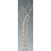 Decorative Kuwa Branches - Bleached