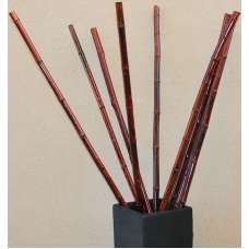 Thick Decorative Bamboo - Mahogany color