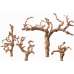Grapewood Branches - Sandblasted - Grape Wood Grapewood Branches - Sandblasted - Grape Wood