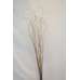 Long Straight Ting Ting Bunch - Natural