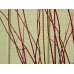 Dogwood Branches - Dried Dogwood branch