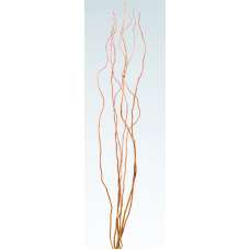 Curly Willow Branches for Centerpieces (Short Stem)