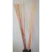 Long Willow Branches / Sticks