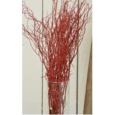 Sweet Huck Branches - Fire Red Huge 8oz Huckleberry bunch