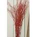 Sweet Huck Branches - Fire Red Huge 8oz Huckleberry bunch