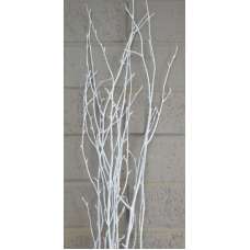 White Painted Birch Branches