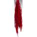 Hanging Amaranthus Preserved - Dried