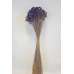 Dried Brazilian Hill Flowers - Navy Blue (Limited Stock)