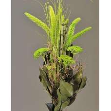 China Millet Green Bouquet
