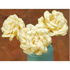 Dried Corn Husk Roses