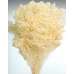 Dried Baby's Breath Colors - Dried Gypsophila