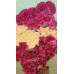 Dried Celosia Cockscomb - Coxcomb