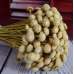 Dried Diamond Button Flowers