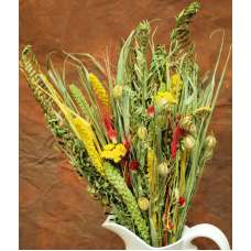 Dried Flower Bouquet - Painted Desert Bunch