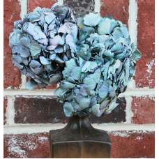 Dried Hydrangea Flower Bunch - Blue Color