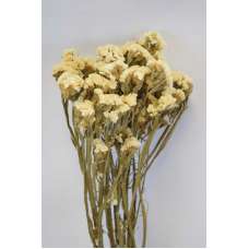 Dried Statice Sinuata Flower Bunch - White