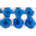 Preserved Roses - 8 per Order - Colors: Green, Blue, Black