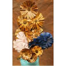 Dried Protea Flowers Stemmed