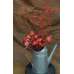 Red Corn Husk Rose Buds