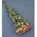 Mini Dried Rose Bouquet - Pink