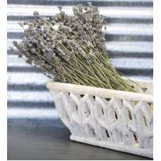 Dried English Lavender Bunch - Large Bundle of Royal Velvet