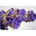 Dried Statice Sinuata Flower Bunch - Lavender