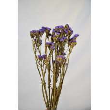 Dried Statice Sinuata Flower Bunch - Lavender