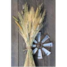 Late Summer Harvest Grain Bunch