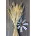 Late Summer Harvest Grain Bunch