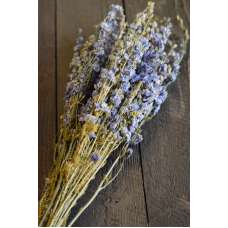 Dried Light Blue Larkspur Flowers For Sale