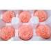 Preserved Chrysanthemum - 8 per Order - Colors: Red-Green