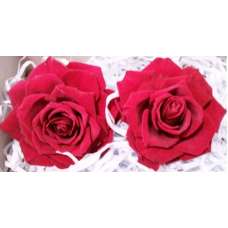 Preserved Roses - Extra Large - 2 per Order - Colors