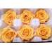 Preserved Roses - 8 per Order - Colors: Purple, Yellow, Orange