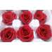 Preserved Roses - 8 per Order - Colors: Red - White