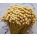 Dried Happy Flower - Straw Flowers 