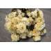 Dried Strawflowers Bouquet - White (neutral)