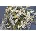 Dried White Garden Flower Bouquet