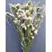 Dried White Garden Flower Bouquet