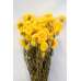 Dried Strawflowers Bouquet - Yellow