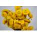 Dried Strawflowers Bouquet - Yellow