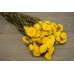 Dried Strawflowers Bouquet - Yellow