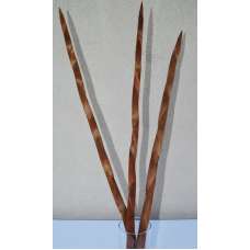 Dried Assegai Spears Large