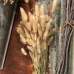 Dried Bunny Tails Grass